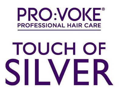touch of silver