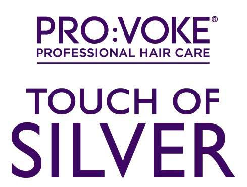 touch of silver